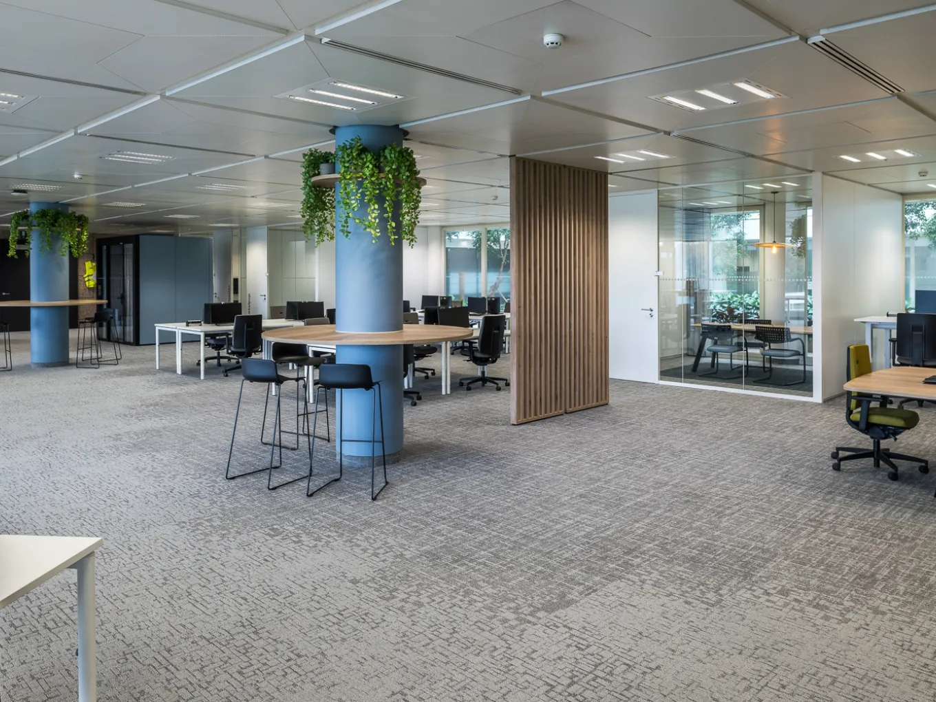 Bank Offices Open Workspace Artcore Carpet Collections