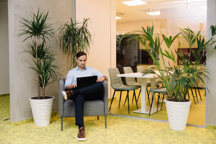 Csovari Legal Lunch Area Carpet Carpet Tile Collections Motion Vision